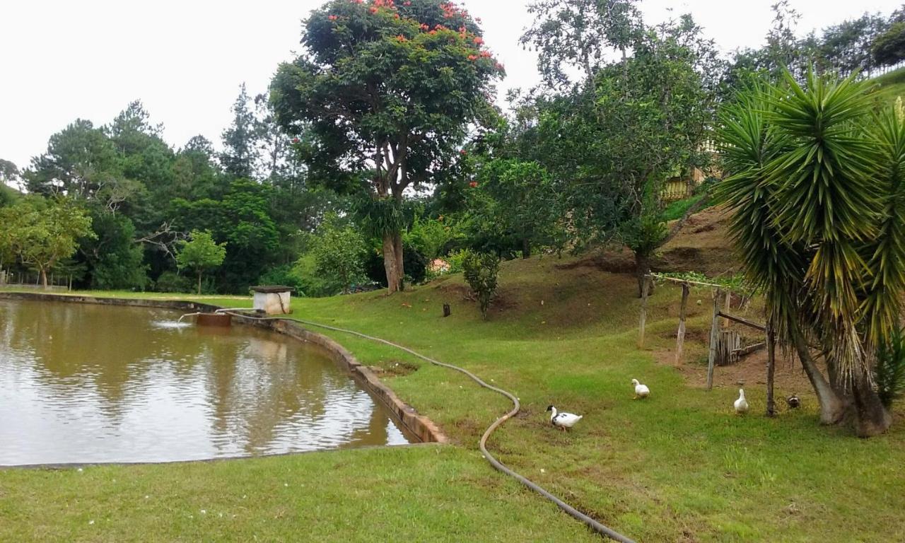 Sitio Cantinho Verde Cedro Cunha Buitenkant foto